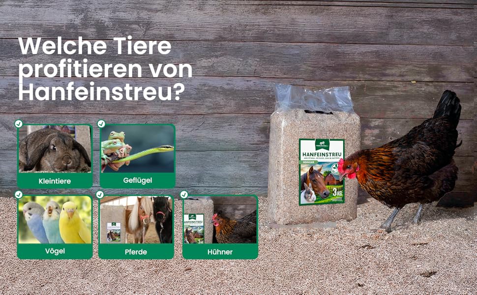 Zusammengesetztes Bild, das Tiere zeigt, die von Hanfstreu profitieren. Enthält Fotos von kleinen Haustieren, Geflügel und einer Packung Hanfstreu mit einem Huhn, das in der Nähe steht