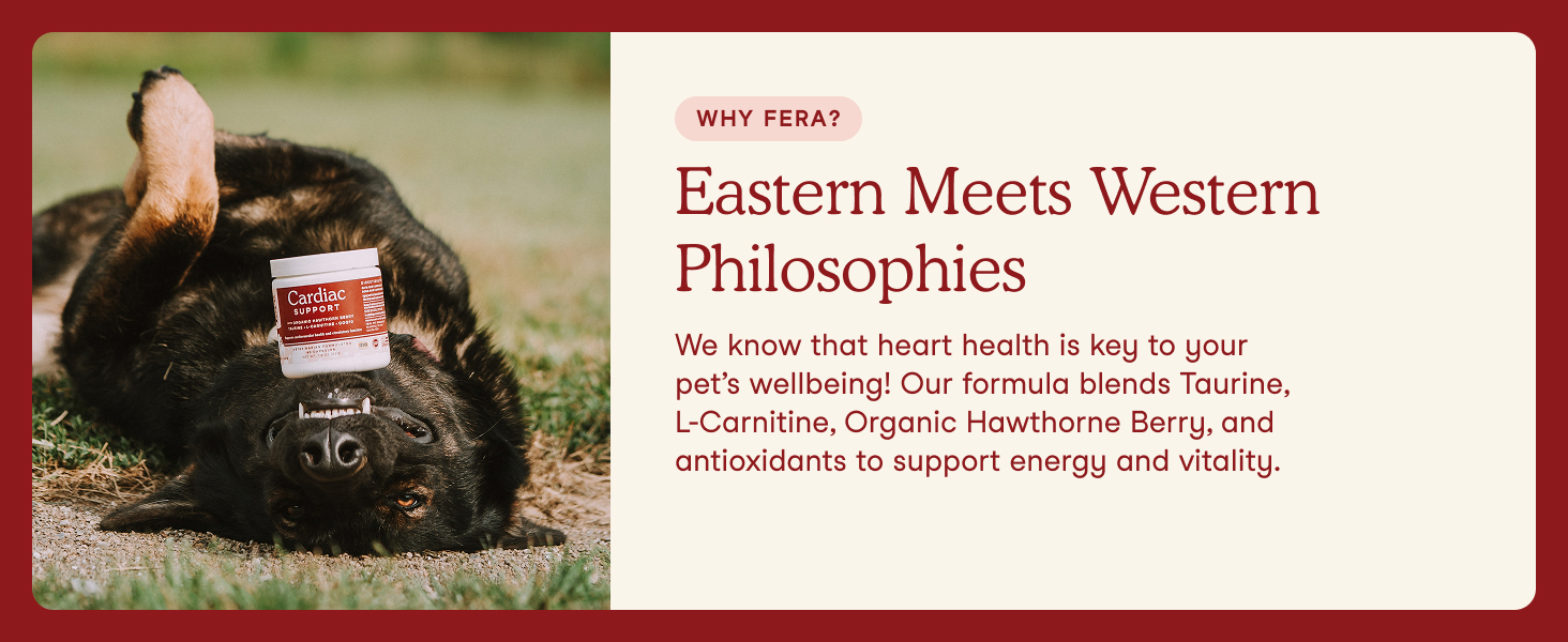 Eastern Meets Western Philosophies