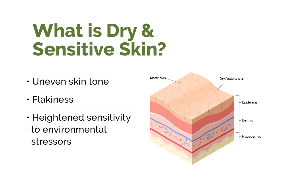5% Nia-Ceramide Intense Moisturizing Cream | 5% Niacinamide & Ceramide