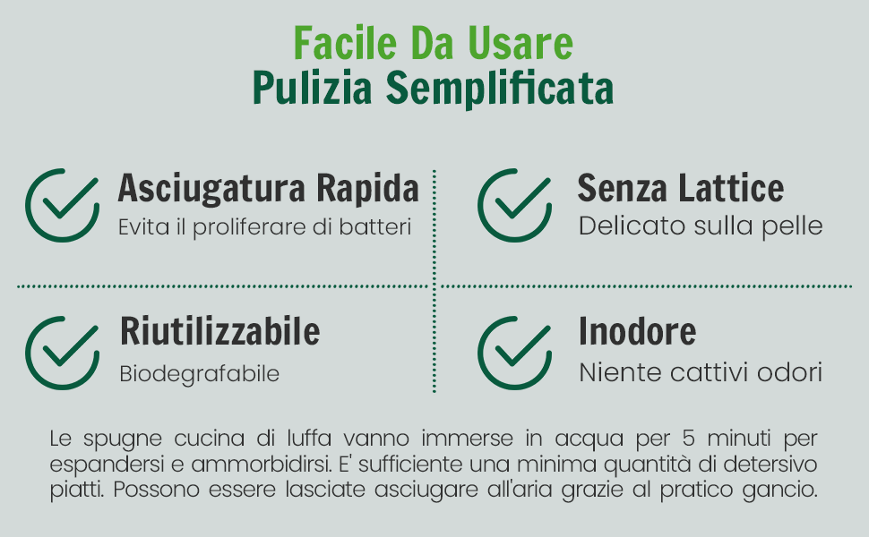 Schwamm Küche Schwämme Teller Küchengeräte Profi