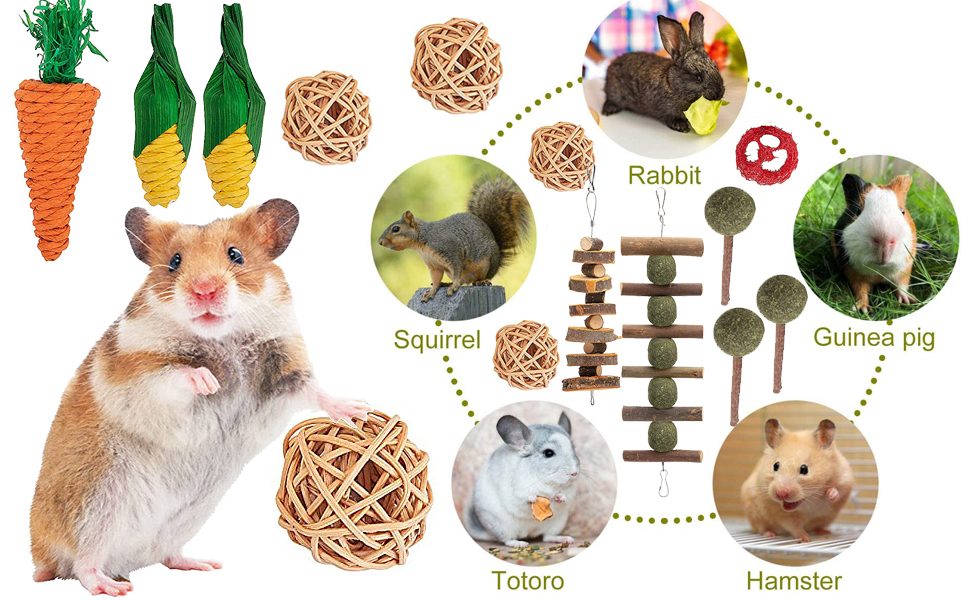 GIONAR 18 PCS Rabbit Toys, Rabbit Chew Toy for Teeth, Bunny Hamster Chew Toys 100 Natural Apple