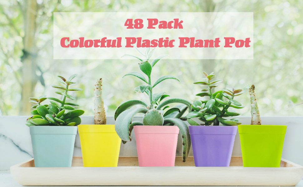 Square Plastic Flower Pots