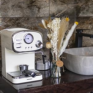 vase with pampas grass
