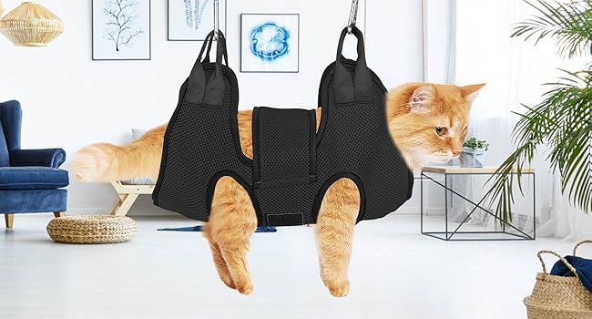 Large manufacture image 4