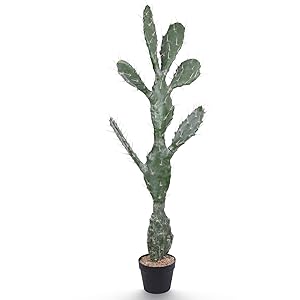 Amazon.com: Yuwinron Artificial Cactus Potted Plant 51 Inch