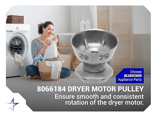 Amazon.com: BlueStars 8066184 Dryer Motor Pulley 29