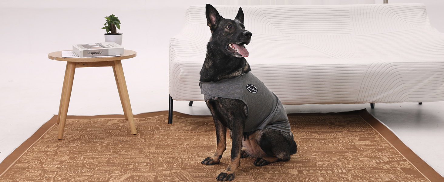 anxiety jacket for dogs