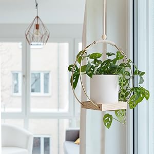 window hanging decor