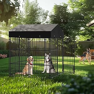 Amazon | BingoPaw 鶏小屋 屋外 雨よけ 扉付き 犬小屋 大型犬