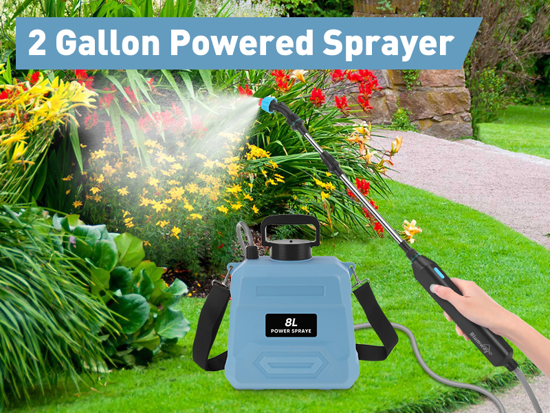 BlumWay Battery Powered Sprayer 2 Gallon,Powerful Electric