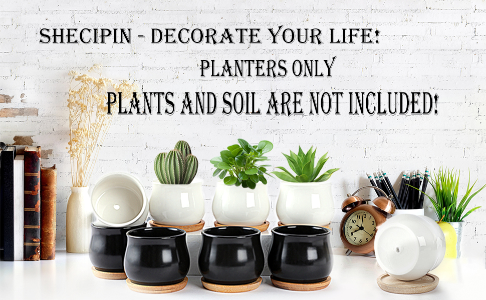 SHECIPIN 12 Pack Succulent Plant Pot, Mini 2.6 inch Ceramic