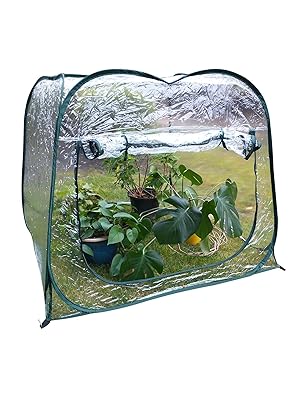 Amazon.com : Zenport 4'x4' Portable Pop-Up Greenhouse Large