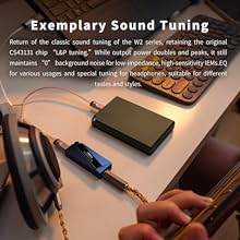ヘッドフォン/イヤフォン LUXURY & PRECISION W2 Amazon.com: Luxury Precision W2 Ultra Portable USB DAC/AMP