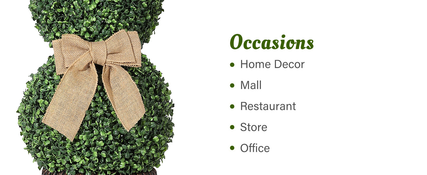 Bunny Shape Boxwood Tree