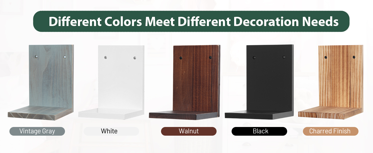 PHOENANCEE Small Wall Shelves,Mini Floating Shelf Set of 4