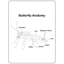Small manufacture image 12