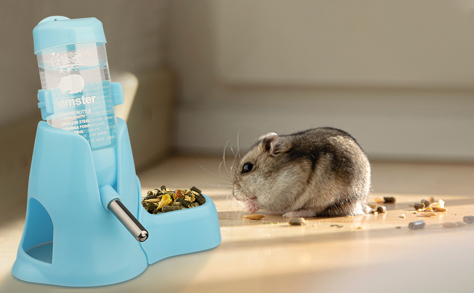Eine Maus, die von einem Feeder isst