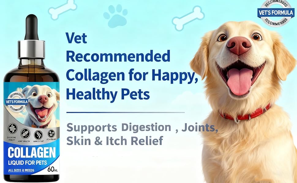 Collagen for Dogs 01