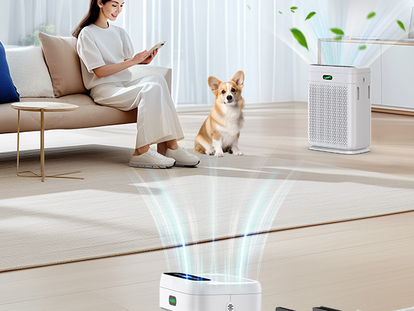 air purifier for home large room