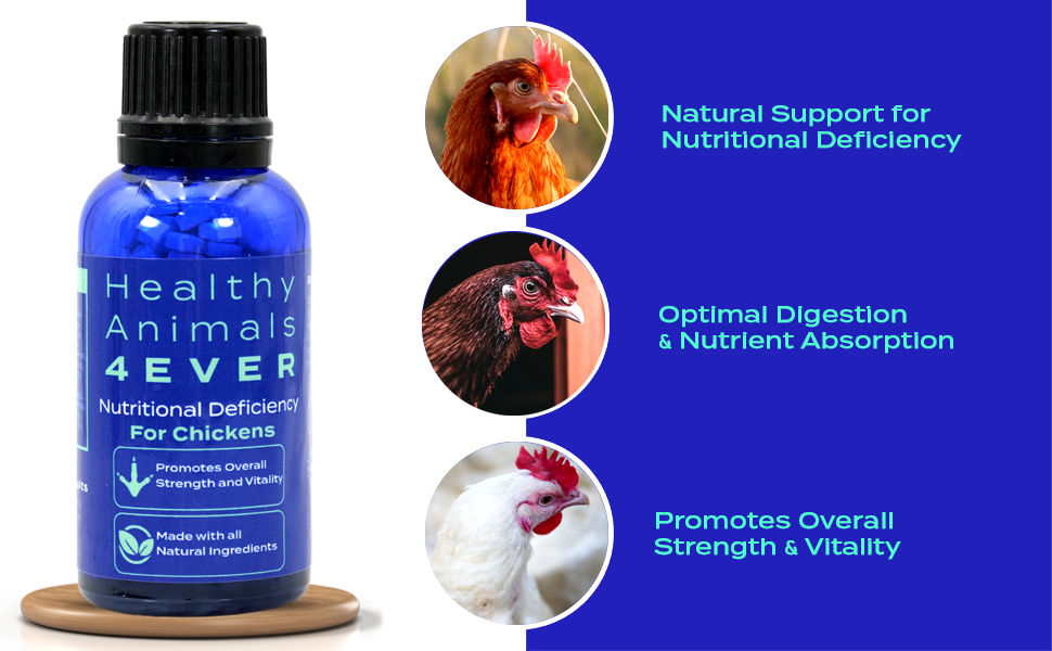 all natural chicken deficiency promotes overall strength and vitality made with natural ingredients