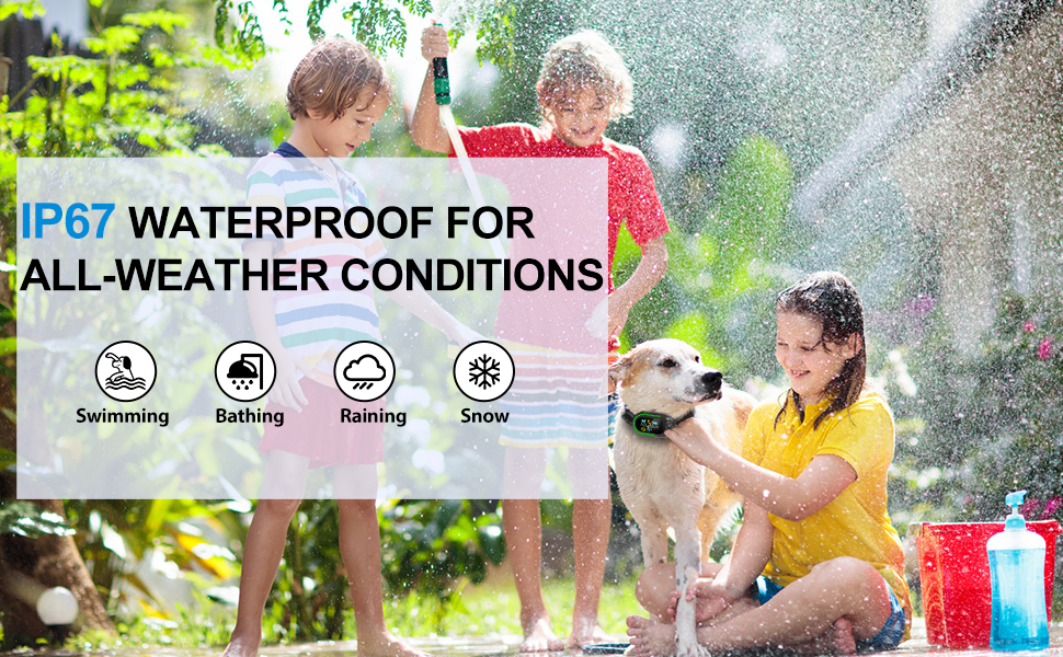 Anti Barking Dog Collars