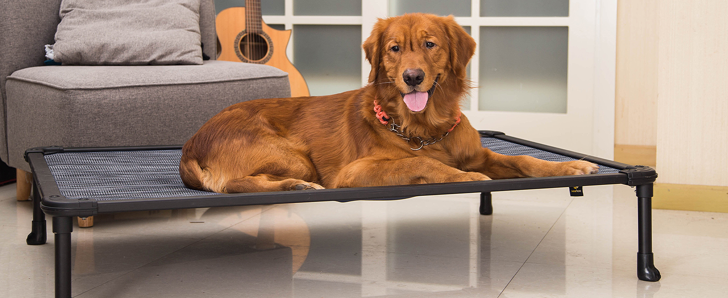 elevated dog bed raised dog cot