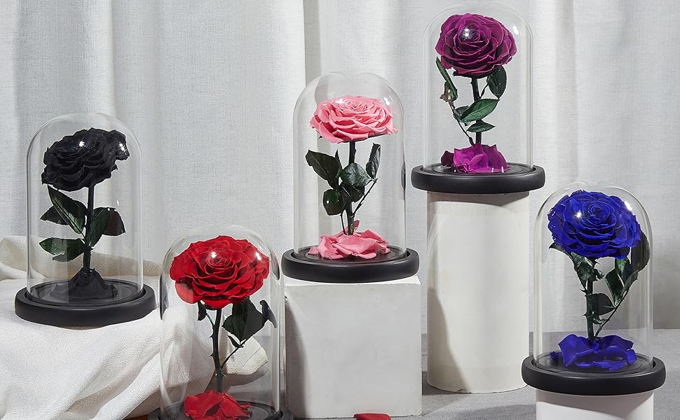 DuHouse Preserved Real Rose Forever Flowers in Glass Dome