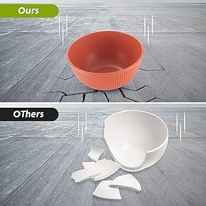 Plates and Bowls Set