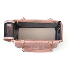 anti escape pet carrier