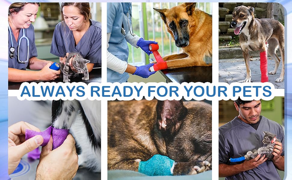 self adhesive bandage wrap