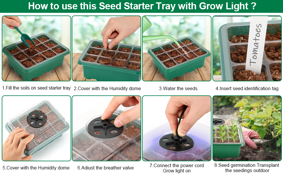 【Upgraded Height】 Seed Starter Tray with Grow Light 6 Pcs Seed Starter kit