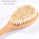 Selected grade A pure bristles