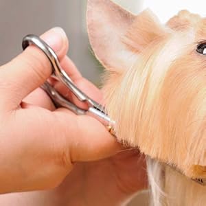 Professional Dog &amp; Cat Grooming Essential Tool for Groomers