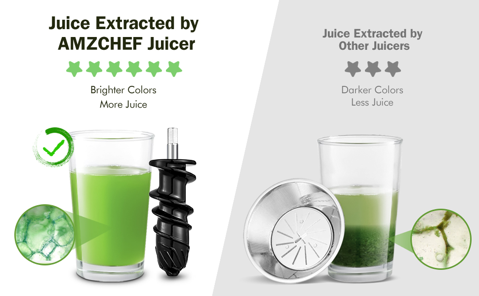 AMZCHEF Slow Juicer Machine Masticating Juicer with Reversing