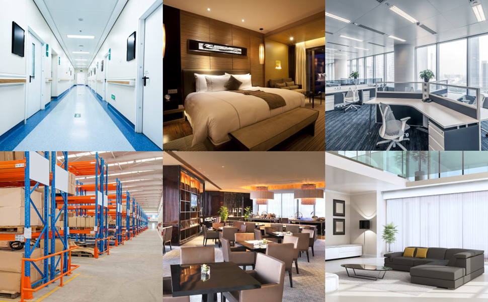 Cockroach, Mosquito, Home Pest & Rodent Repelling Aid for Reject Ants Spider Insect Pest