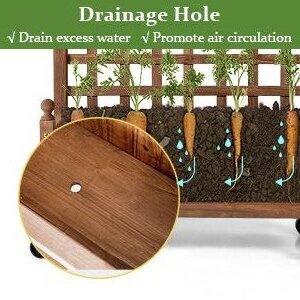 drain hole