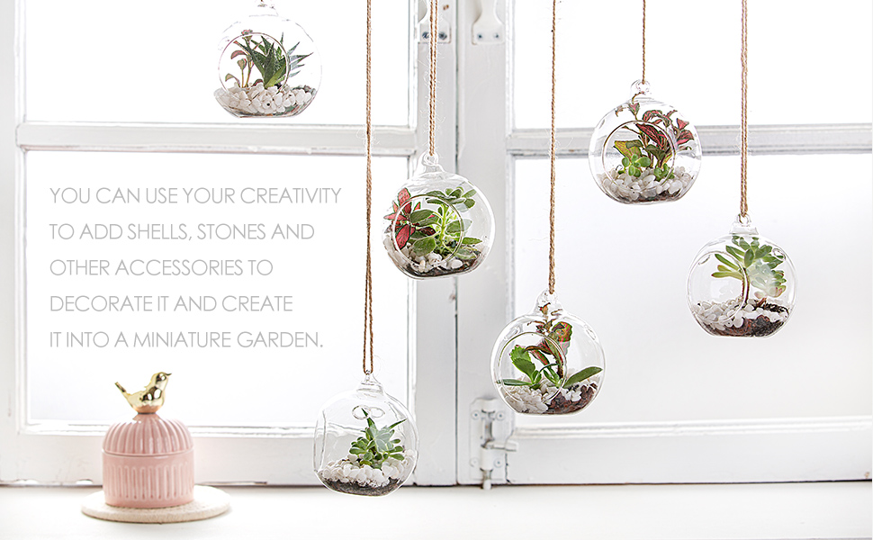 Vijyas Hanging Terrarium Globe, DIY Air Succulent Planter, Clear Glass
