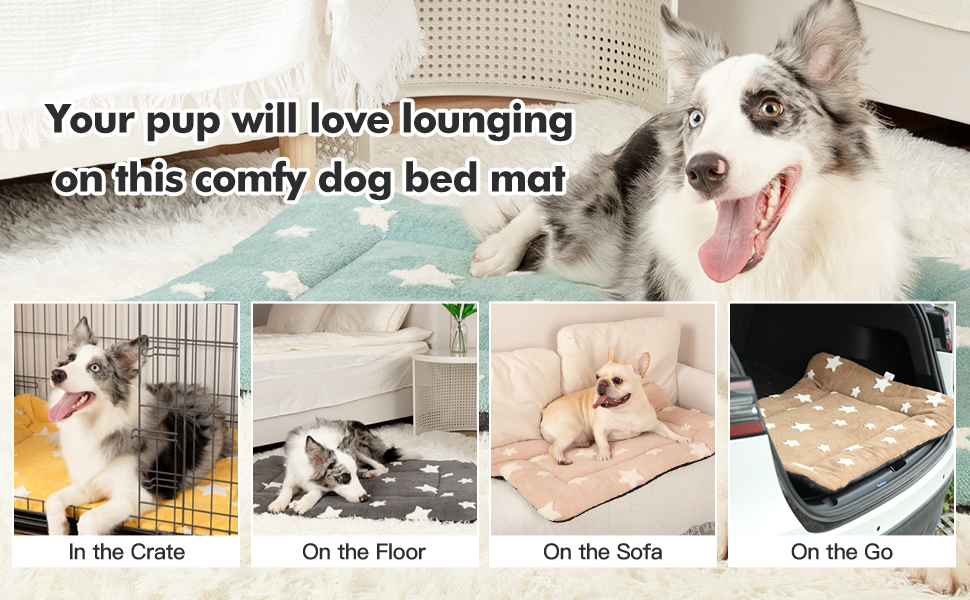 Mora Pets Dog Crate Pad Dog Bed Mat for Medium Dogs