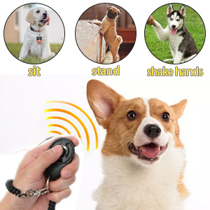 puppy training clicker