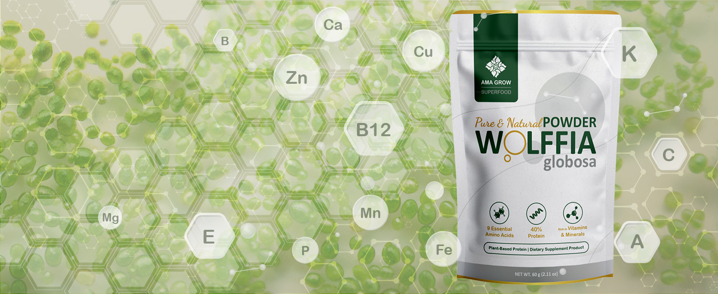 Discover the future of nutrition with wolffia superfood wolffia globosa Powder