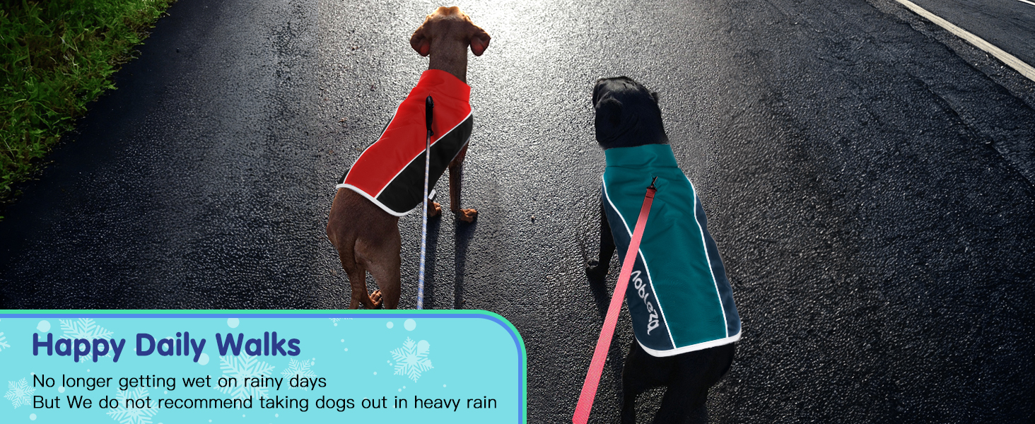 dog coat