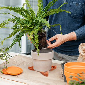  Pot Toes Plant Pot Feet Invisible Flower Pot Risers Potted Triangle Toes Potted Plant Stand Lifter