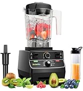 Amazon.com: BioloMix Professional Countertop Blender