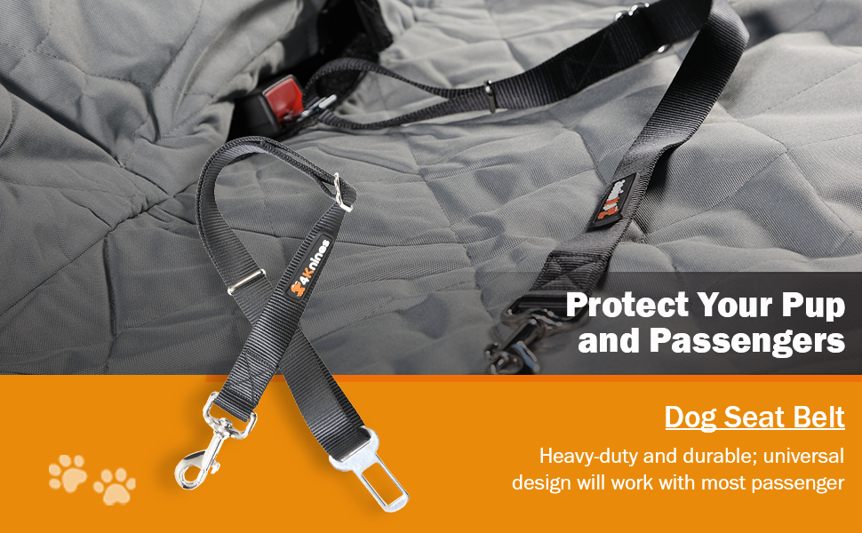 restraining pets the vehicle safe avoid Protect pup passengers unrestrained ten pound dog traveling