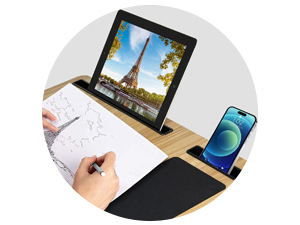 lap desk with cushion