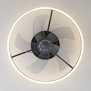 Enclosed  ceiling  fan light