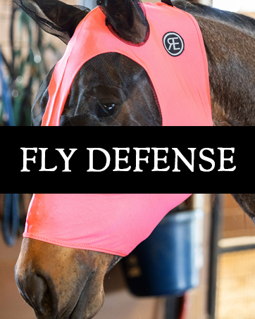 Fly Defense