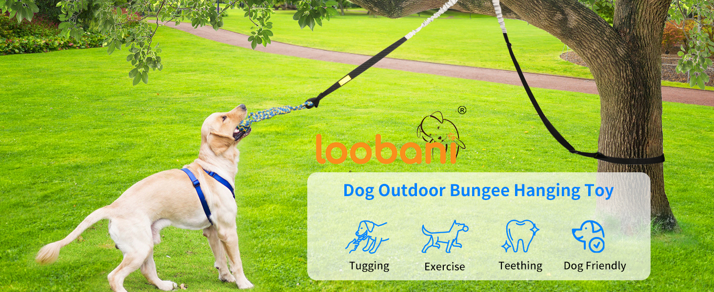 outdoor bungee tug toy