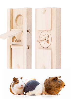 Guinea Pig Foraging Toys