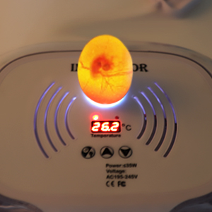 Small manufacture image 3